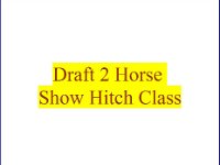 Draft 2 Horse Show Hitch Class